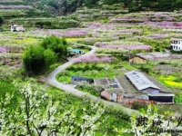 2019年3月2，9，16日广东最美乡村韶关乐昌九峰山花海世界寻梦、 邂逅巴寨